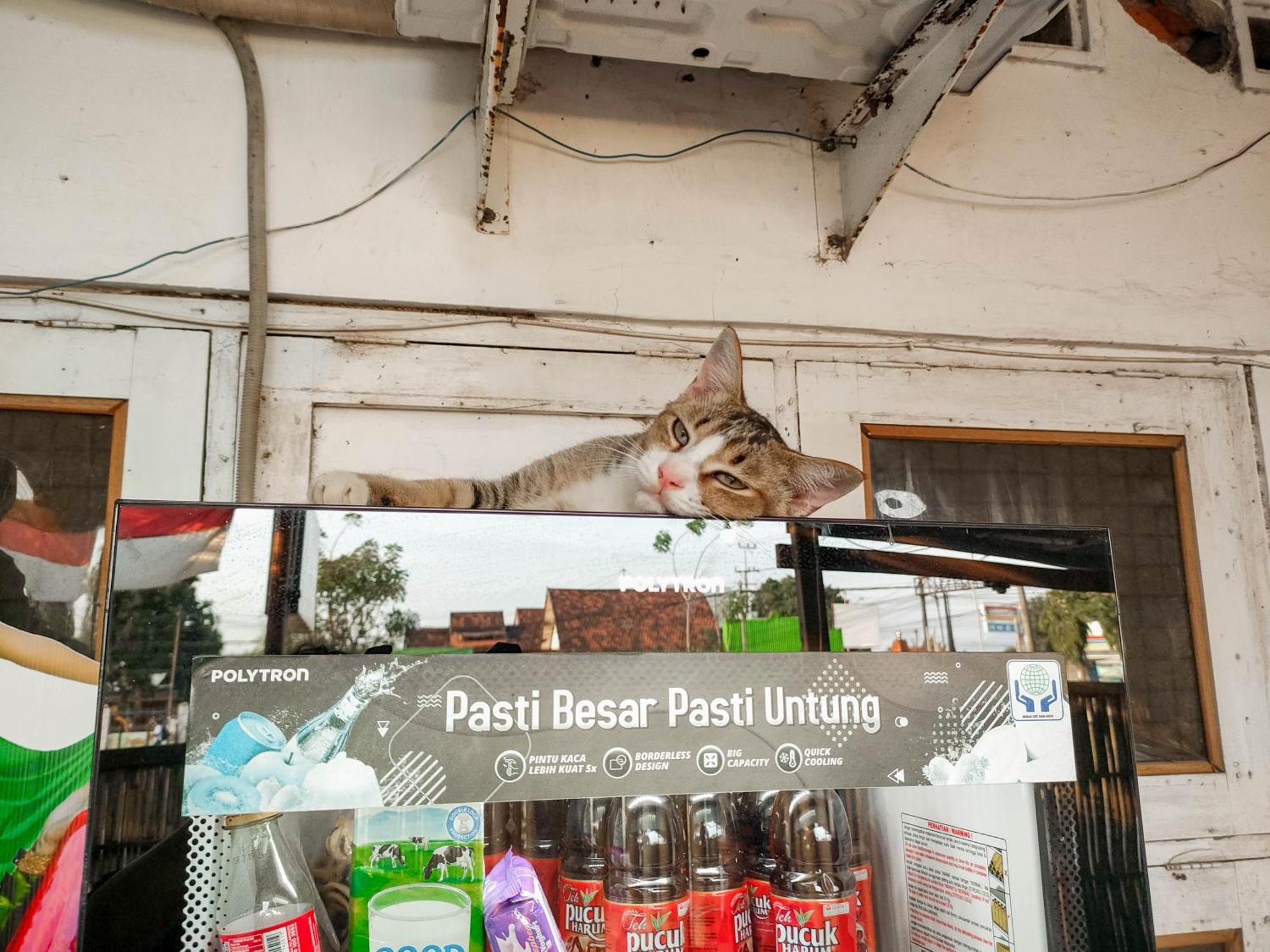Ijen Backpacker Hostel Banyuwangi  Exterior photo